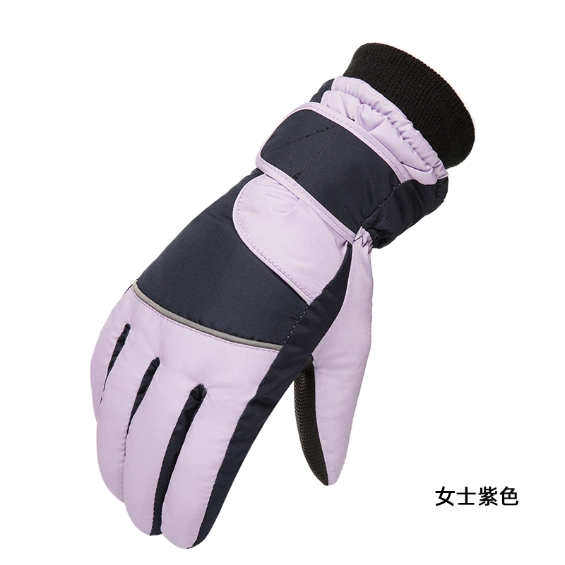 Women′s Purple Ski Warm Gloves Outdoor Sports Protective Thick Gloves